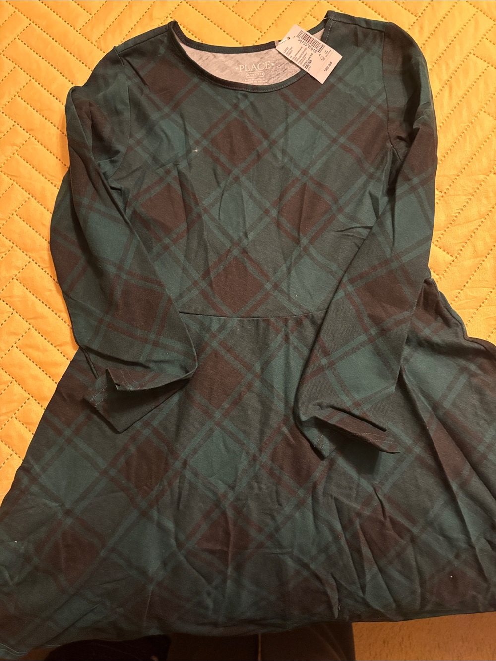 The Children's Place Teal and Black Plaid Long-Sleeve Dress